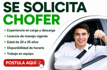 Oportunidades de Empleo para Choferes: Puestos Disponibles y Requisitos