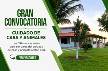 Oportunidades laborales para cuidado de casa y animales